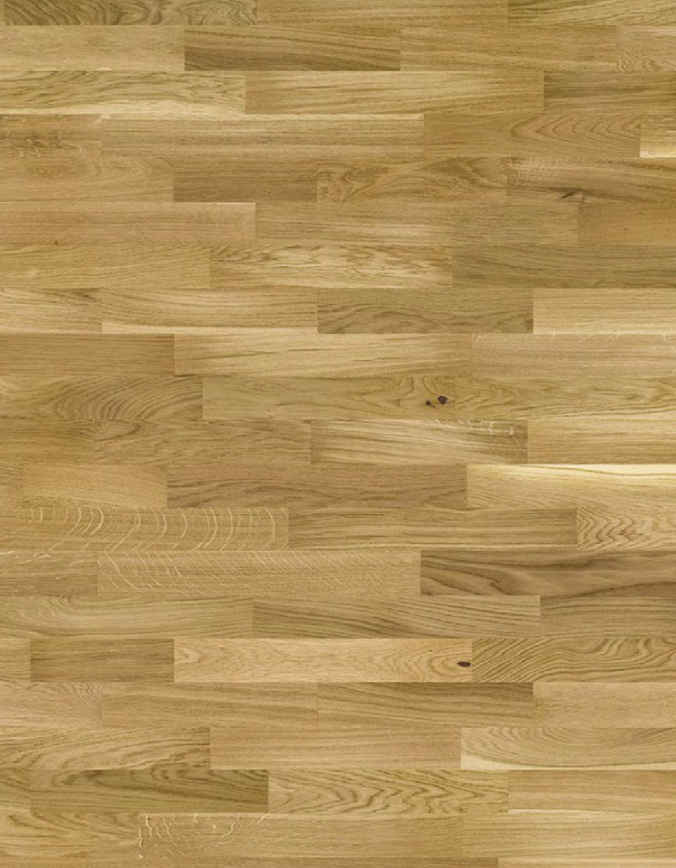 Natural Wood Flooring - Natural Oak Swatch