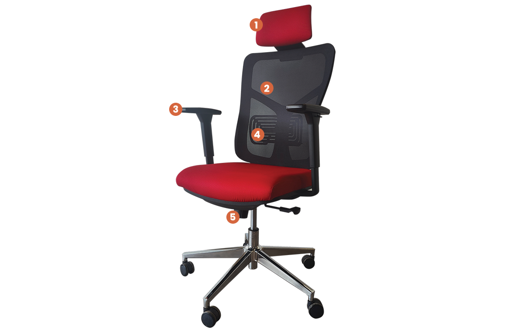 Bora Ergonomic Office Chair Description