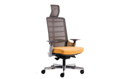 Spinelly Ergonomic High back Chair