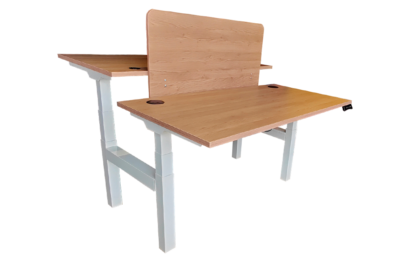 Ergonomic Dual Height Adjustable Table ERG 31