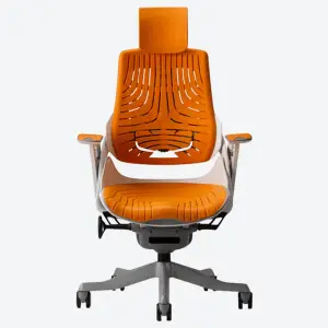 Ergonomic Office Chairs