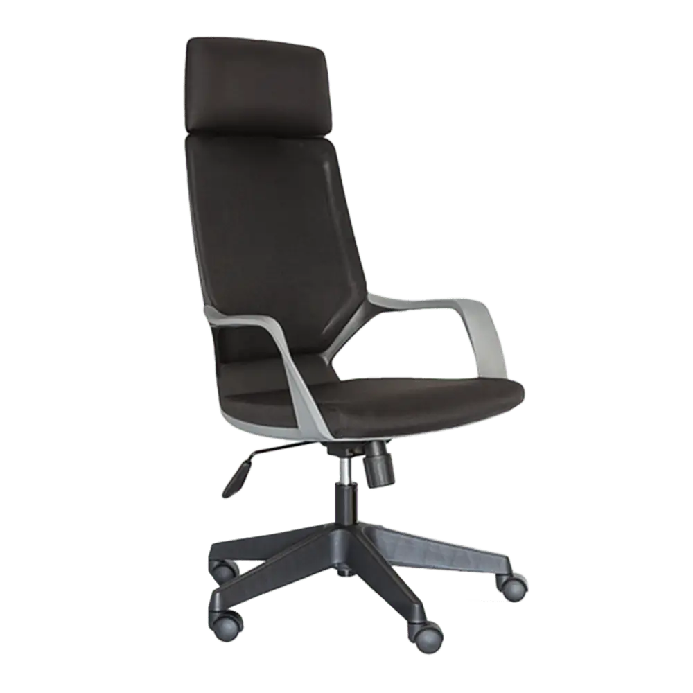 Executive Leather Chair - Apollo