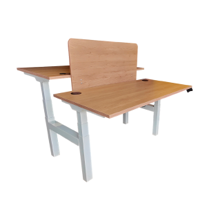 Ergonomic Dual Height Adjustable Table - ERG 31