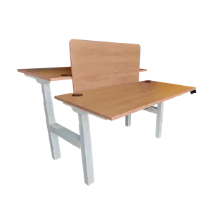 Ergonomic Dual Height Adjustable Table - ERG 31