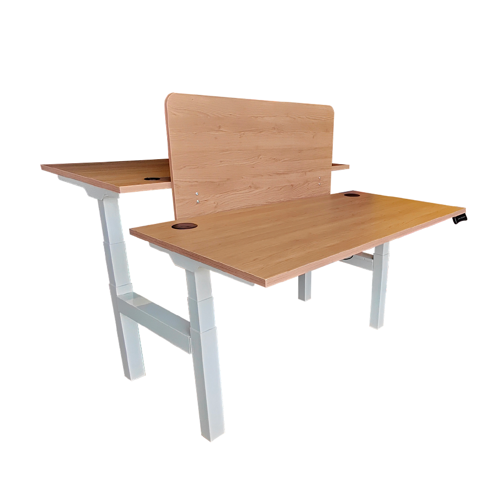 Ergonomic Dual Height Adjustable Table - ERG 31