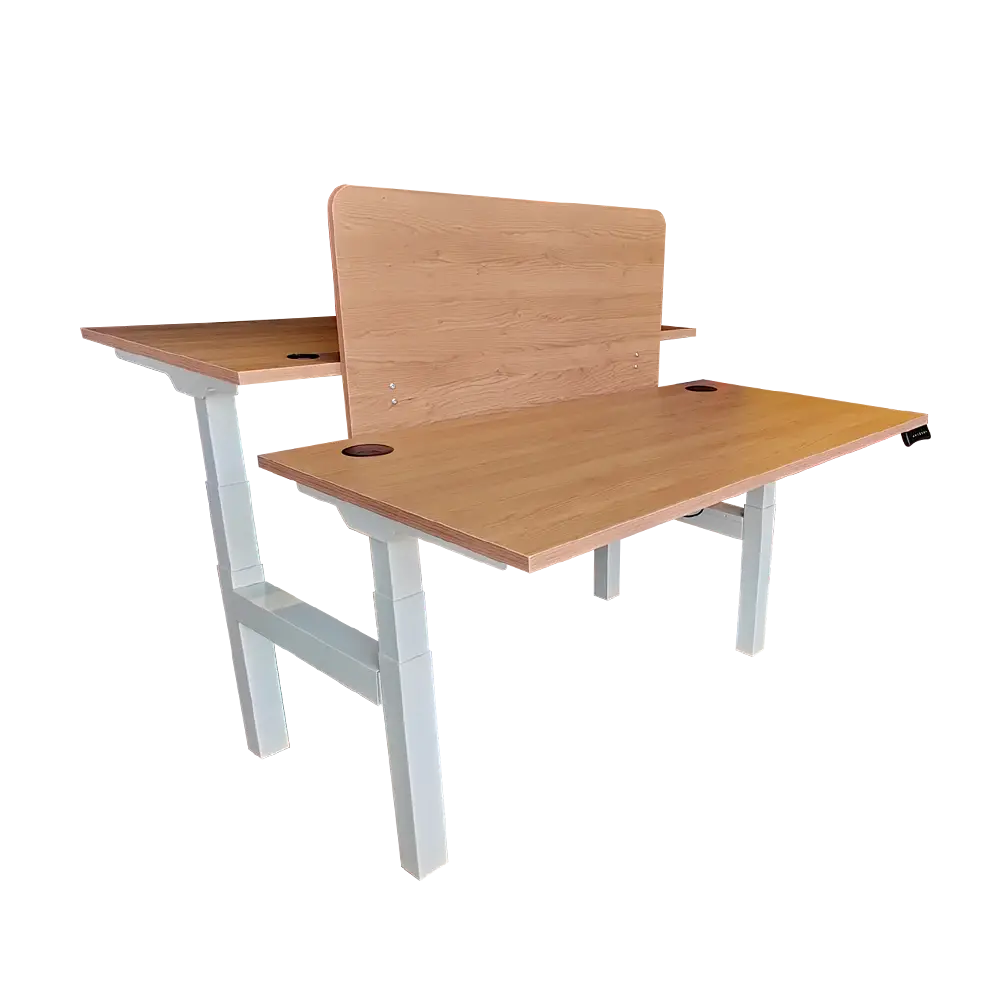 Ergonomic Dual Height Adjustable Table - ERG 31