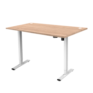 Ergonomic Height Adjustable Table-ERG04