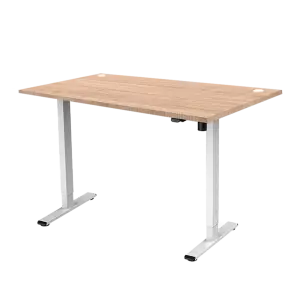 Ergonomic Height Adjustable Table - ERG 04