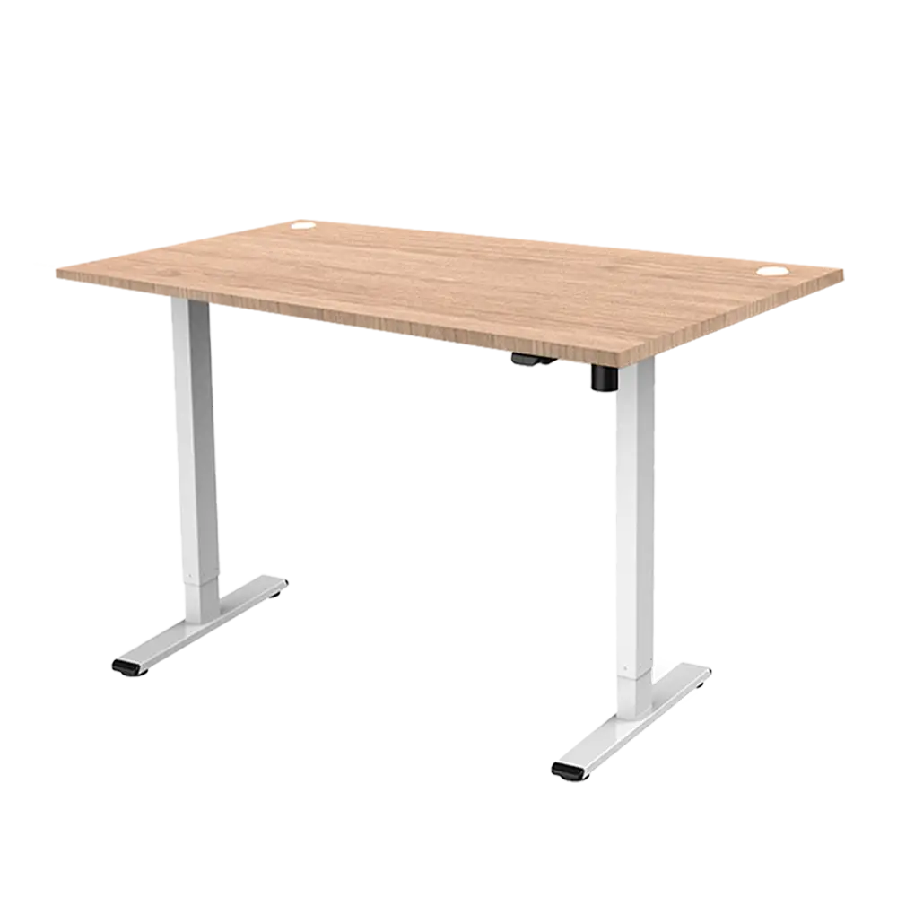 Ergonomic Height Adjustable Table - ERG 04
