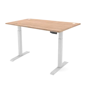 Ergonomic Height Adjustable Table_ERG 11