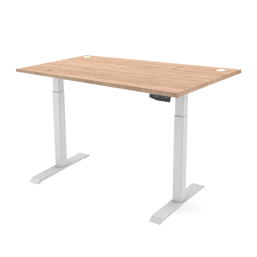 Ergonomic Height Adjustable Table_ERG 11