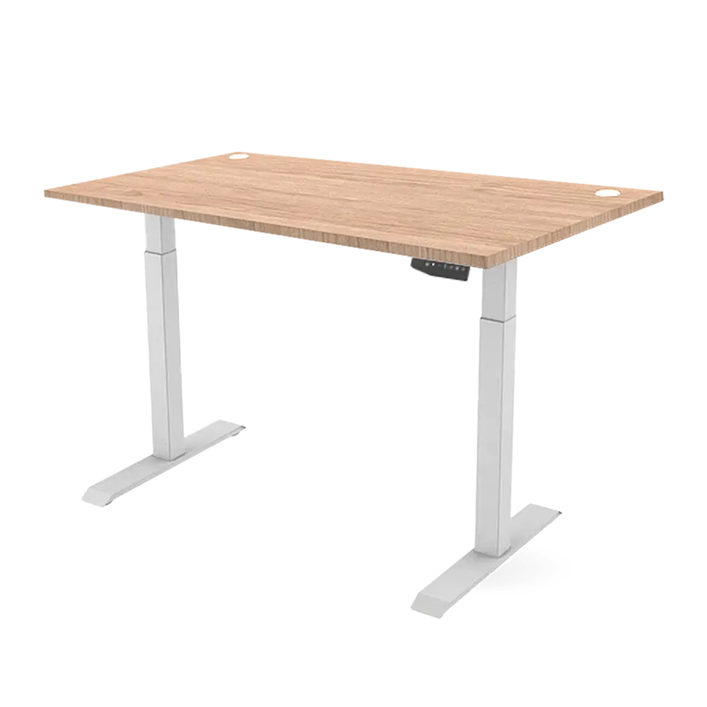 Ergonomic Height Adjustable Table_ERG 11