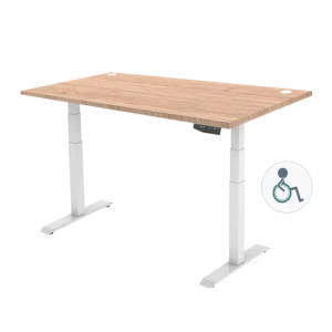 Ergonomic Height Adjustable Table-ERG23