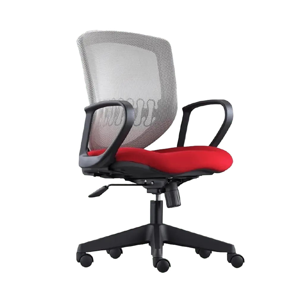 Ergonomic Office Chair - Esie