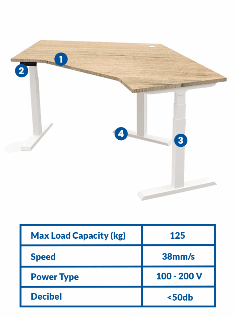 Height Adjustable ERG13-V
