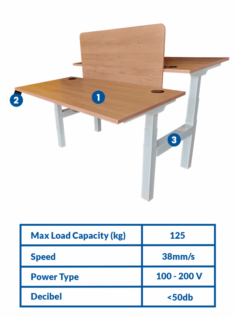 Height Adjustable ERG31