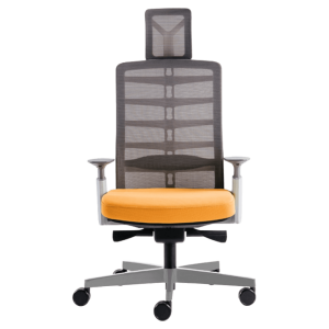 Spinelly Ergonomic Office Chair