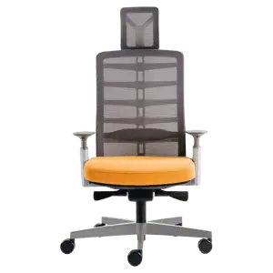 Ergonomic Office Chair- Spinelly