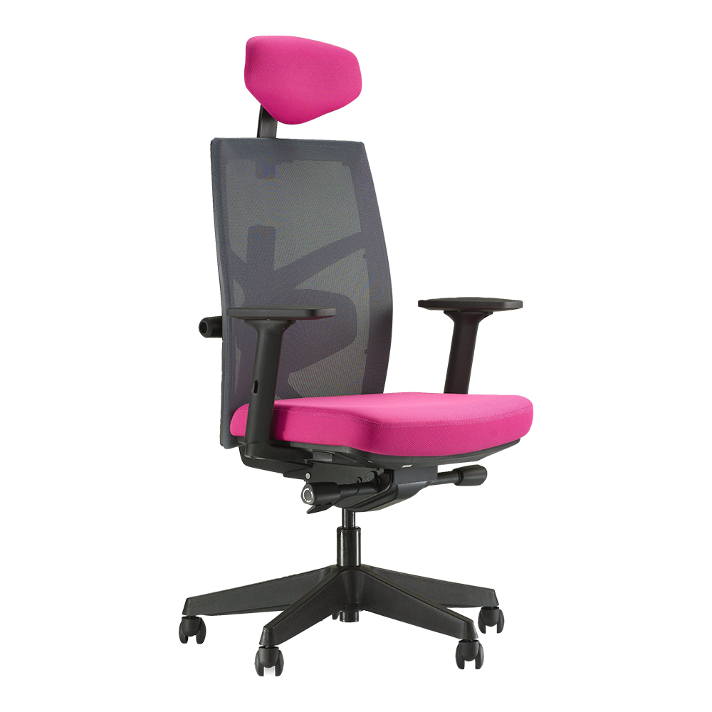 Tune High Back Ergonomic Office Chair