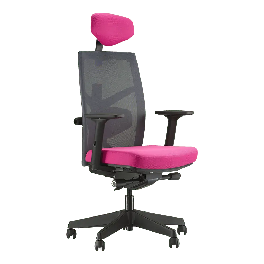 Ergonomic Office Chair - Tune High Back