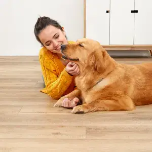 Spotlight Collection