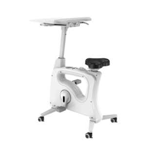 Ergonomic Fitness Workstation