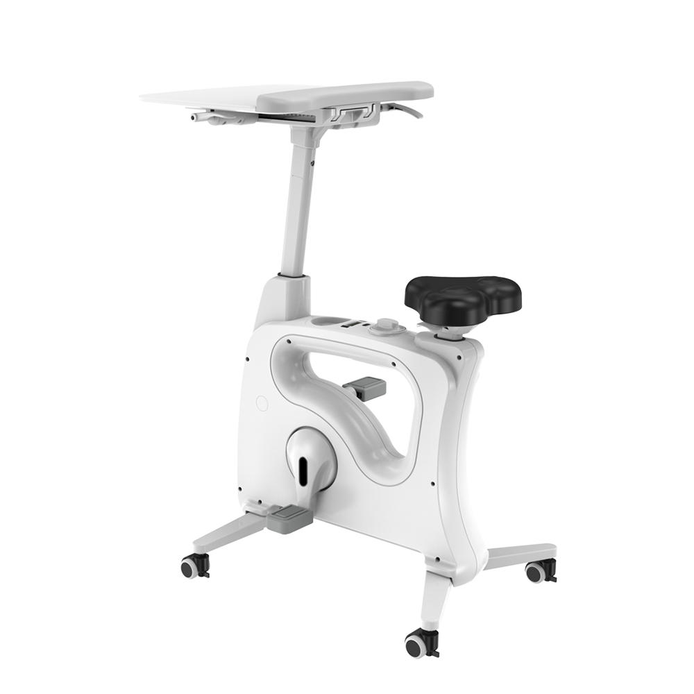 Ergonomic Fitness Workstation