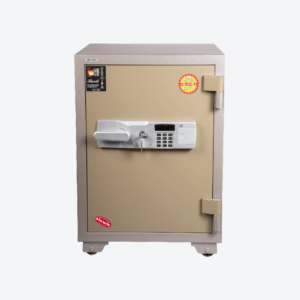 Compact Safes