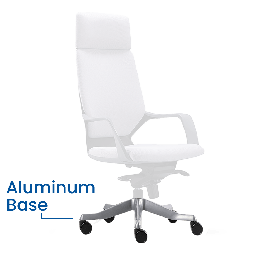 Apollo High Back Ergonomic Office Chair_Aluminum Base